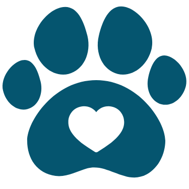 pet surgery icon