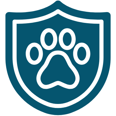 pet vaccination icon