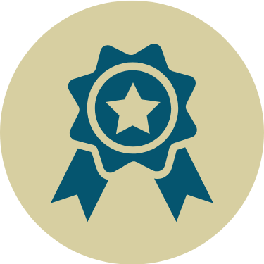 Excellence Icon