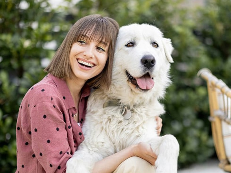 Caring-dog Pet-with-a-lady