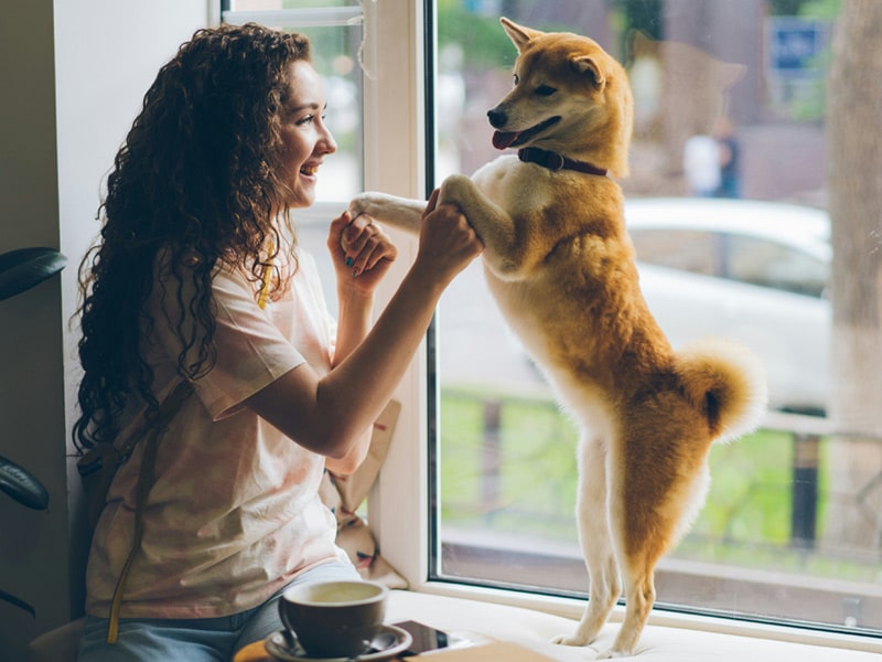 Girl-playing-with-her-pet-dog Girl-playing-with-her-pet-dog