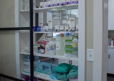 Pet Surgical Suite