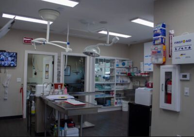 Arbor Hills Animal Clinic treatment area
