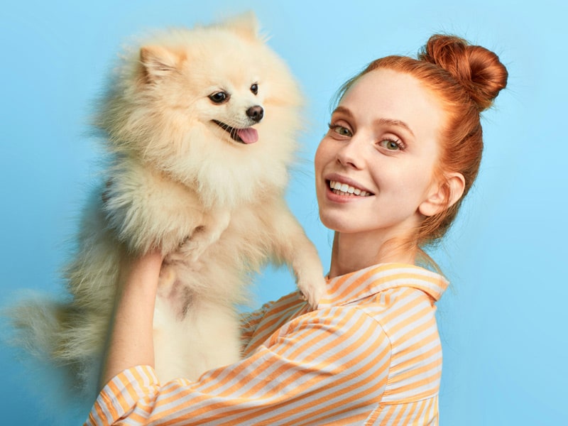 Puppy-getting-cared Puppy-getting-cared