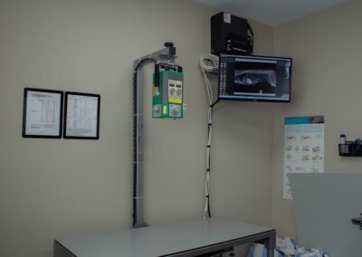 veterinary radiography